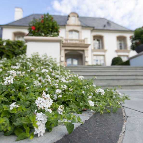 20231011LawnsofDallas-0444