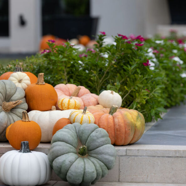 Landscape Leadership Wednesday in Dallas Grant Miller