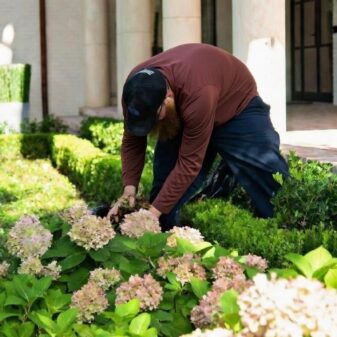 1ed1c2e5-6640-4fd4-ab32-a4883820c783