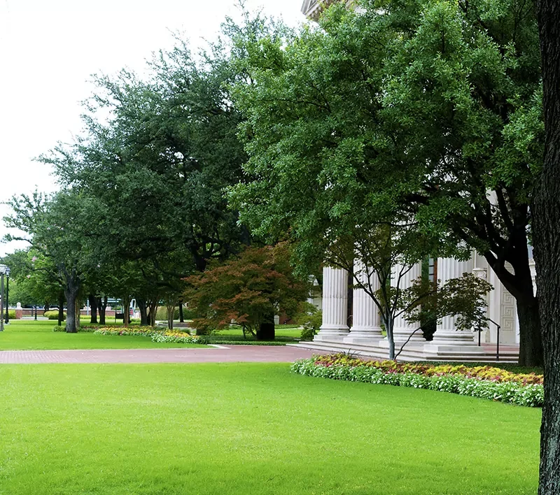 Commercial Landscape Maintenance in Dallas & Fort Worth: How to Keep Your Property Looking Professional Year-Round