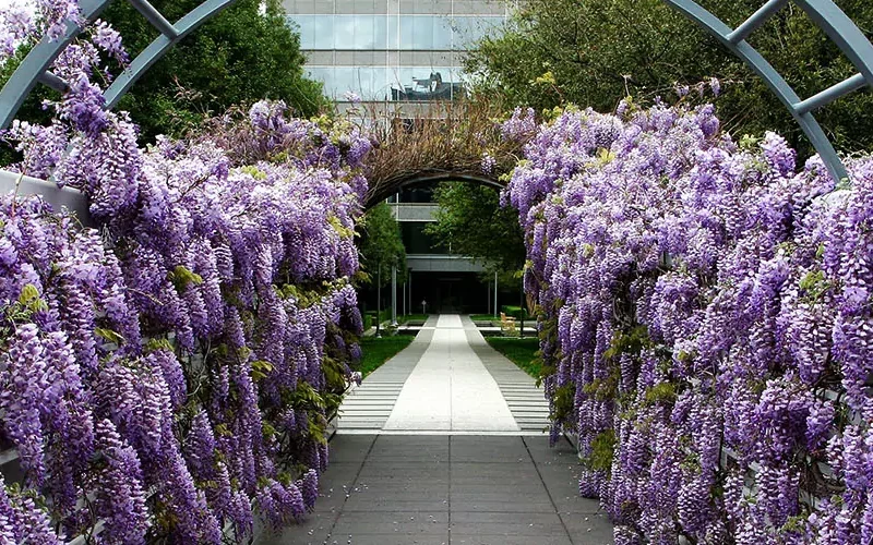 Landscape Design in Dallas-Fort Worth: How to Increase Curb Appeal & Property Value in North Texas