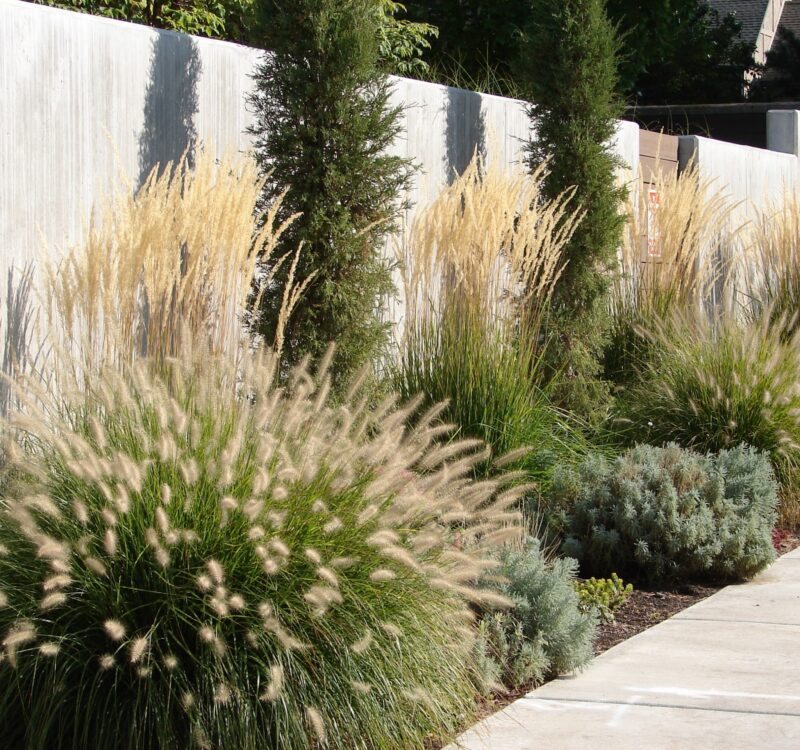 Landscaping Services in Dallas–Fort Worth: What Homeowners & Businesses Should Expect