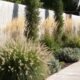Xeriscape,Garden,Landscape,With,Perennials,And,Ornamental,Grasses