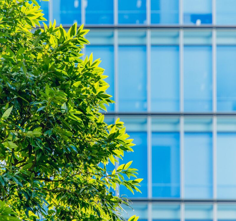 Commercial Landscaping in Dallas, TX: How to Improve Property Value & Tenant Retention