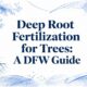 deep-root-fertilization-for-trees-tree-illustration deep-root-fertilization-for-trees-tree-illustration