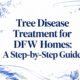 tree-disease-treatment-tree-care tree-disease-treatment-tree-care