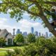 tree-trimming-service-dallas-tree-pruning tree-trimming-service-dallas-tree-pruning