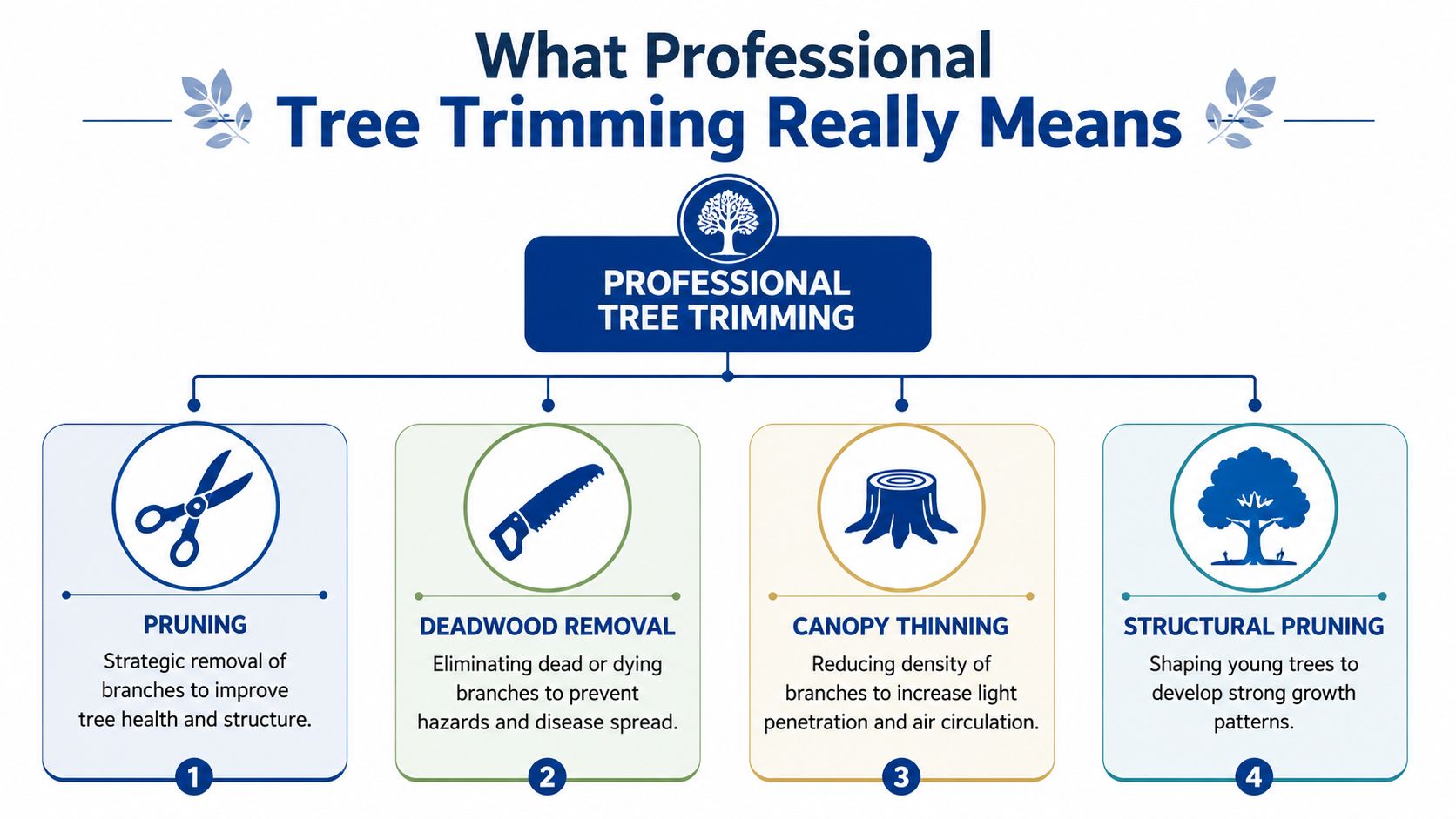 A professional tree trimming infographic displaying pruning, deadwood removal, canopy thinning, and structural pruning methods.