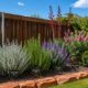 best-shrubs-for-north-texas-landscaped-garden best-shrubs-for-north-texas-landscaped-garden