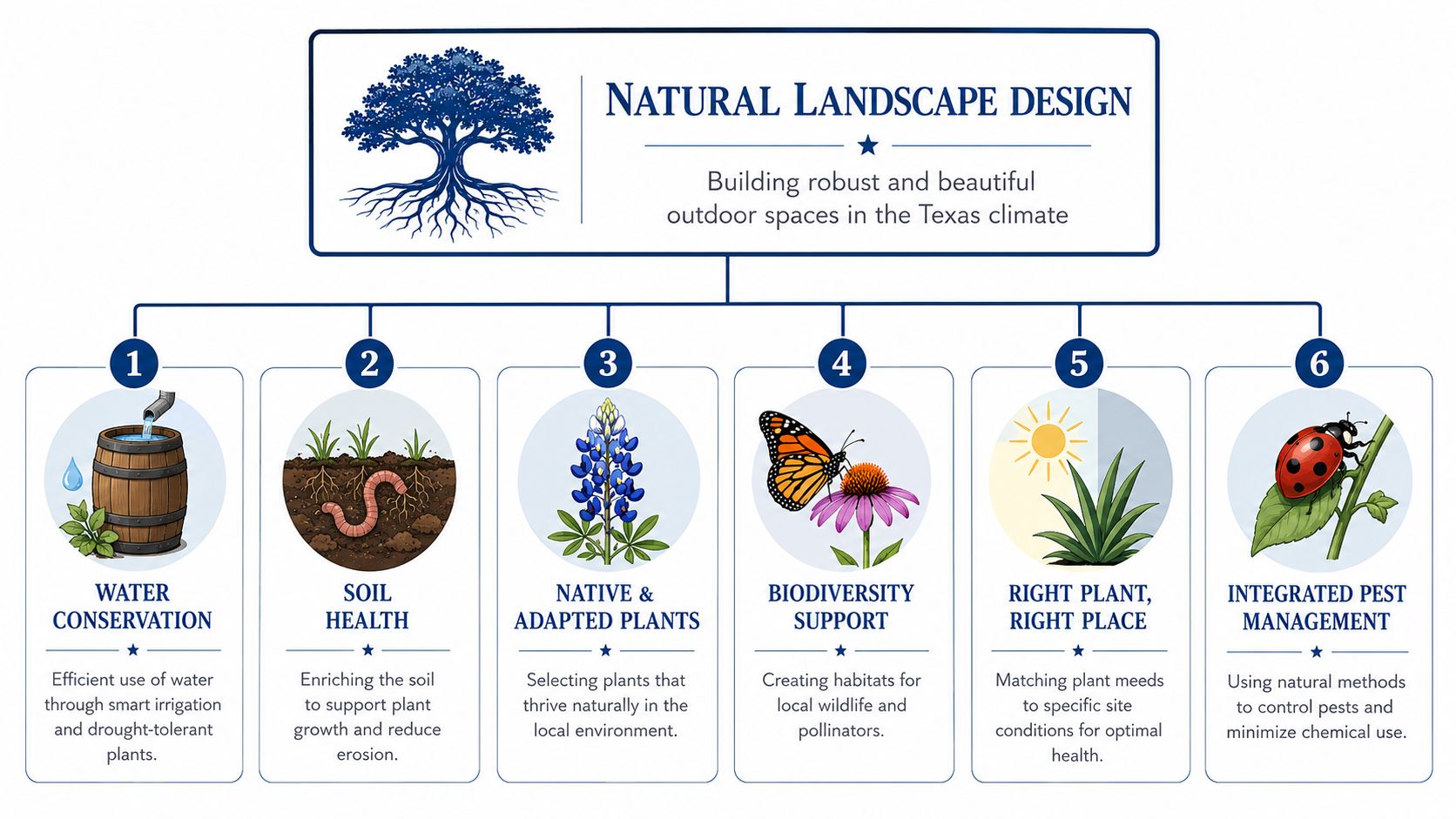 An infographic showing six key principles for sustainable natural landscape design in the Texas climate.