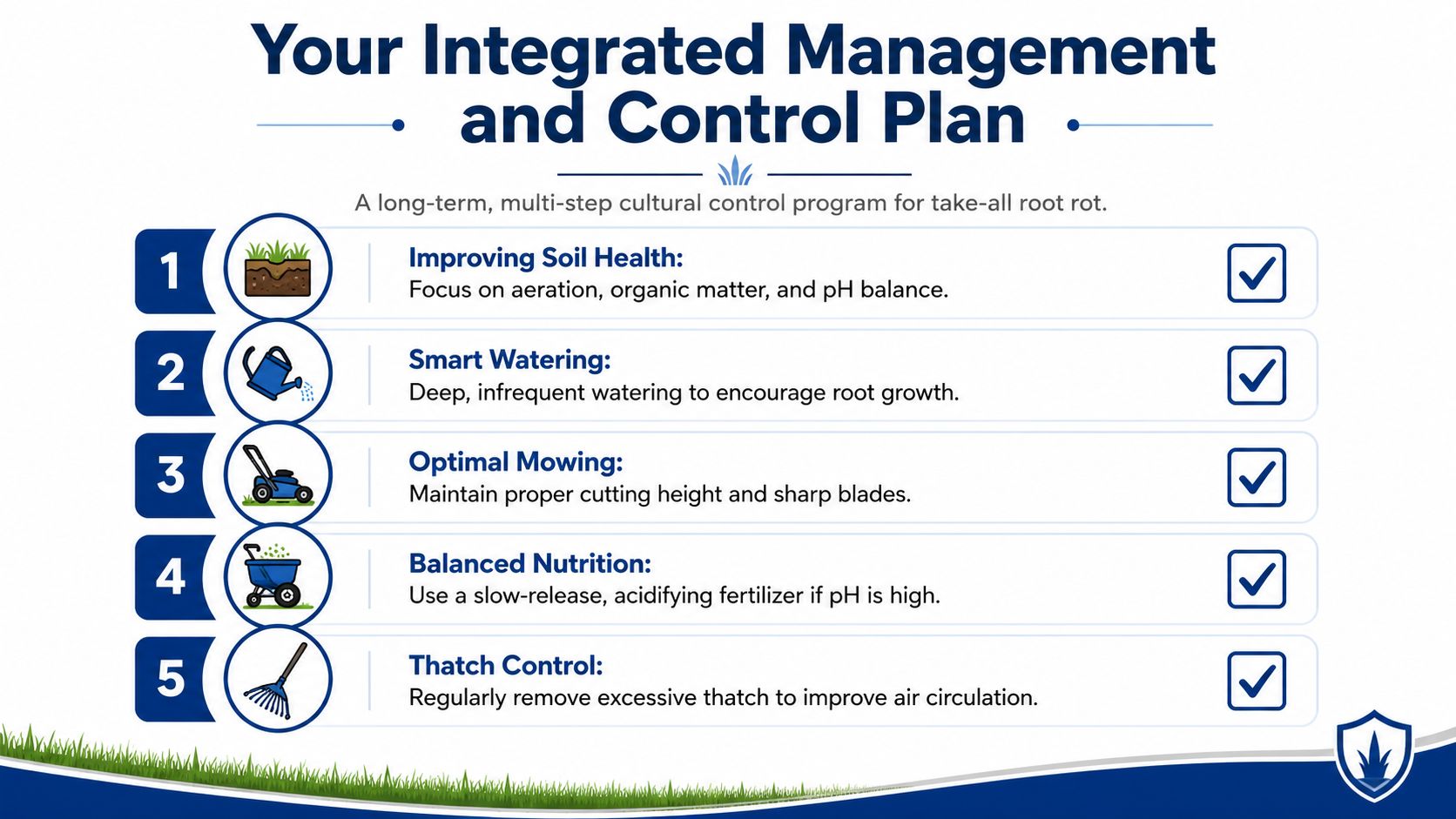 A five-step guide for managing take-all root rot through soil health, watering, mowing, nutrition, and thatch control.