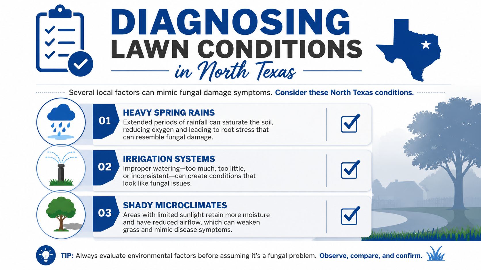 An infographic detailing environmental factors in North Texas that can mimic lawn fungal disease symptoms.