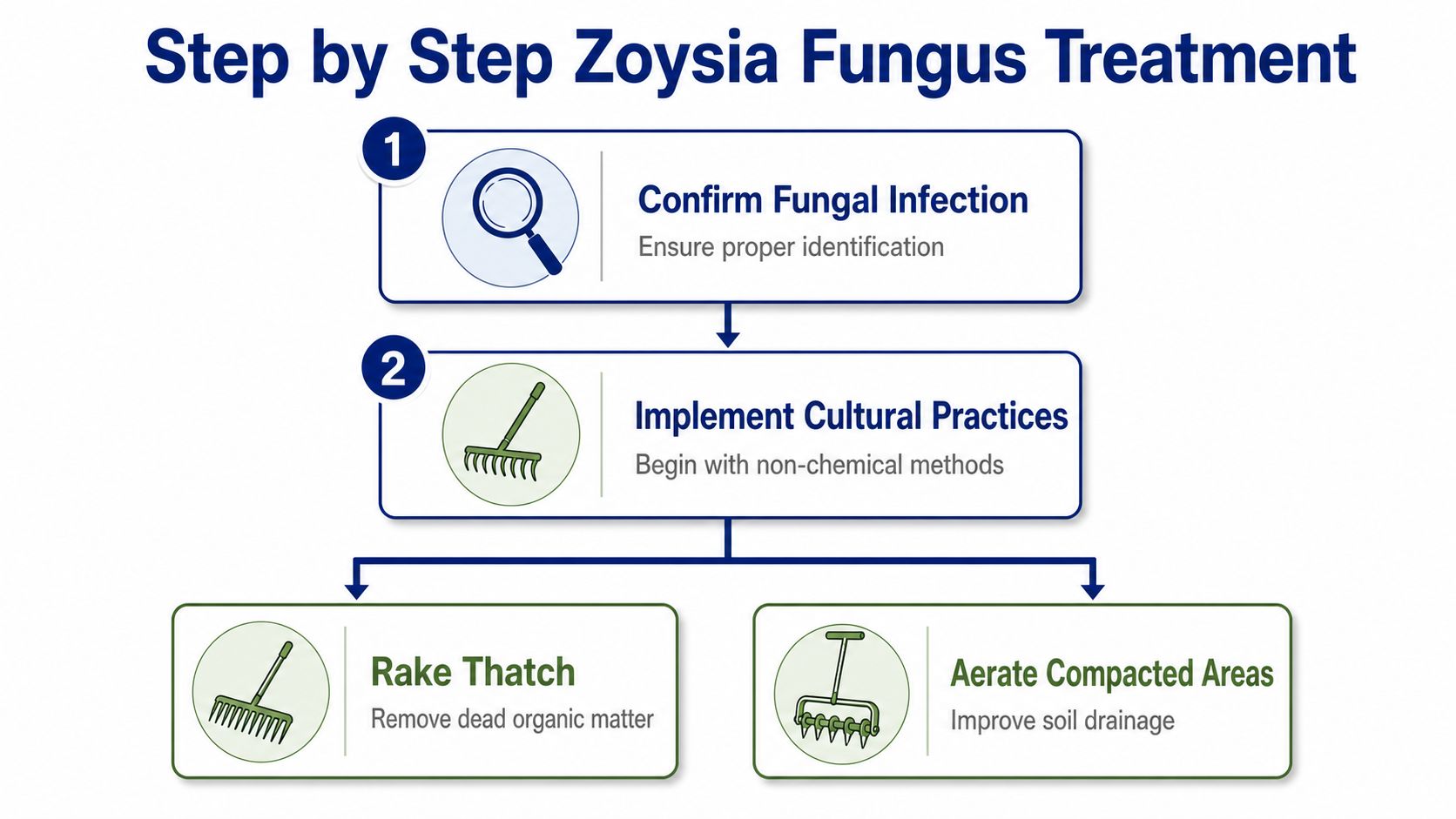 A diagram outlining a step-by-step process for treating Zoysia grass fungus, including identification and cultural practices.